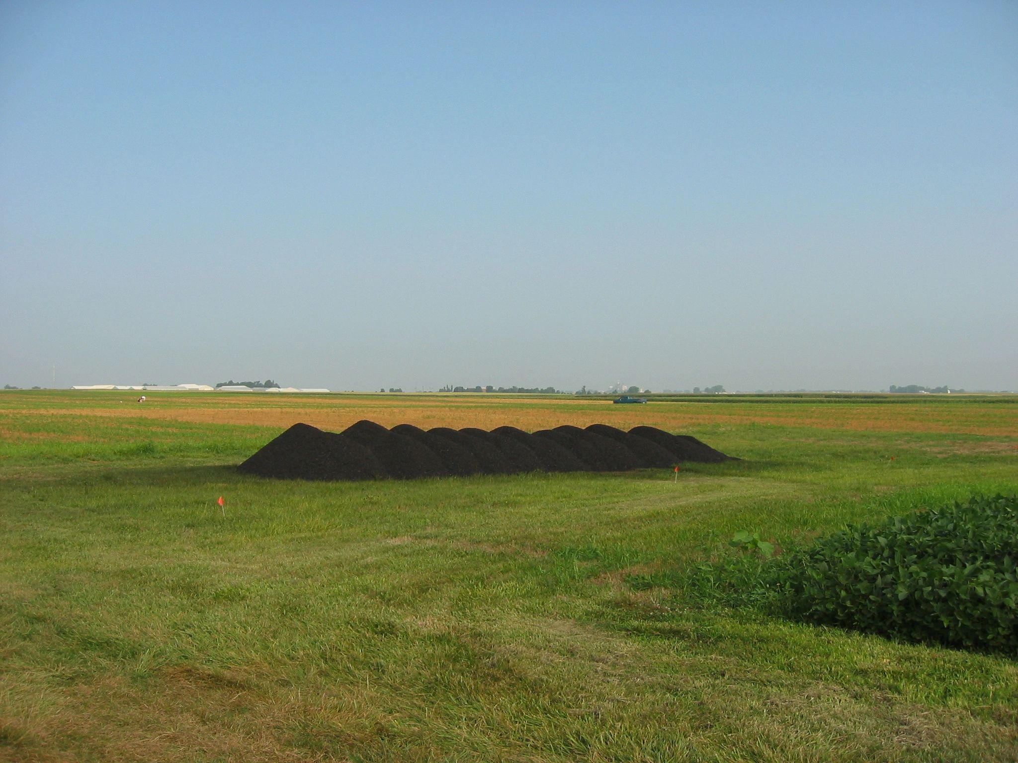 Biochar applied to an agronomy research field