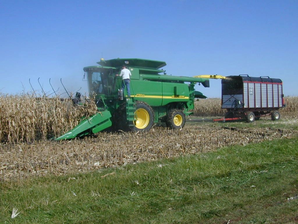 Corn field under precision nutrient management