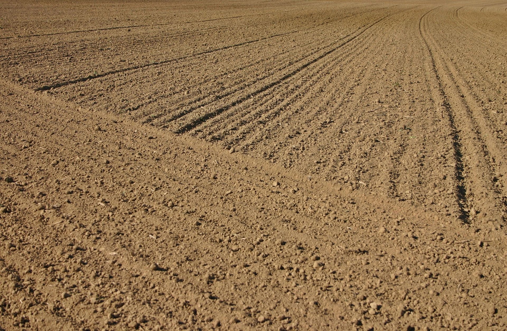 Arable field prepared for fertilizer application