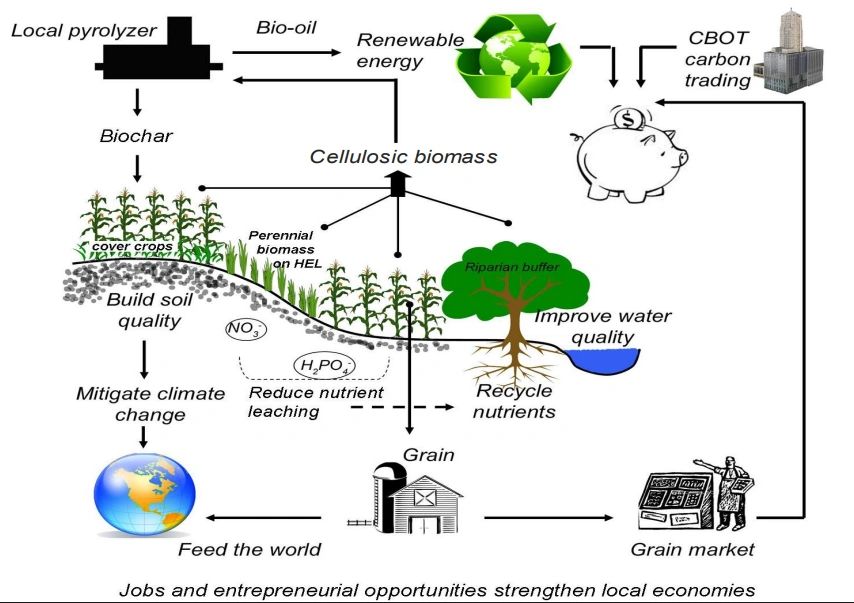 Diagram of the biochar and bioenergy carbon loop
