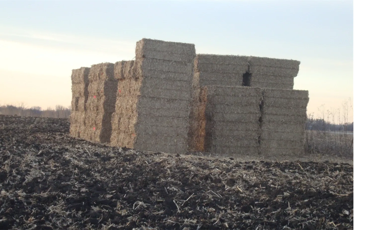 Biomass being converted to biochar in a pyrolyzer
