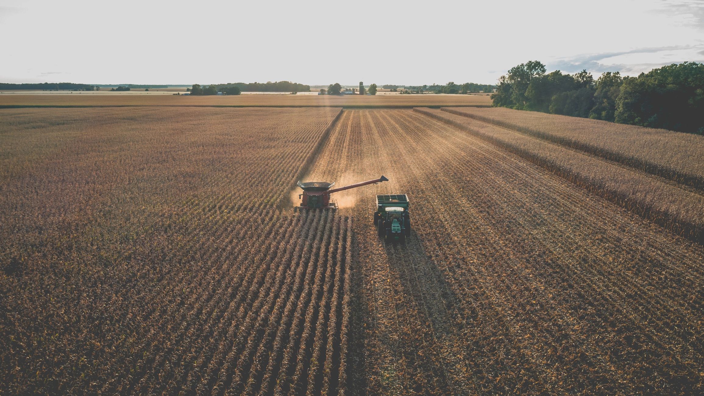 Biomass feedstock being processed