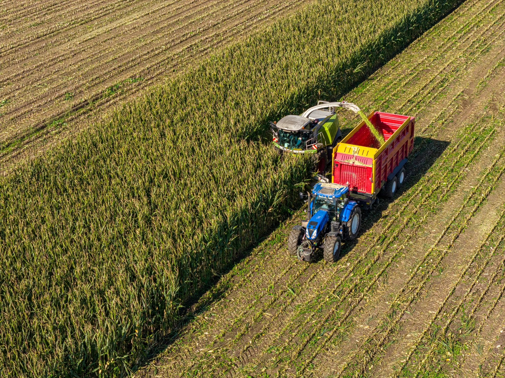 Nitrogen application in a corn field