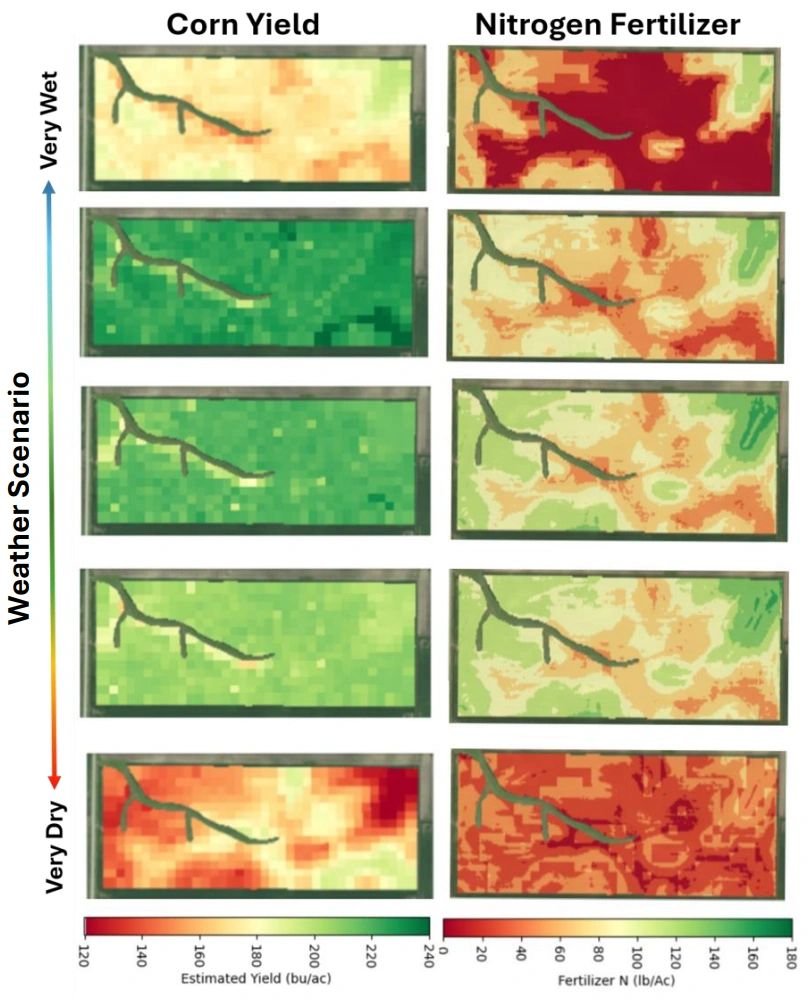 Predicted MRTN outcomes across wet to dry weather scenarios